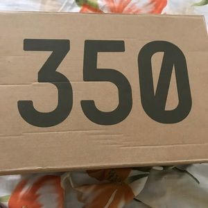 Yeezy boost 350 v2
